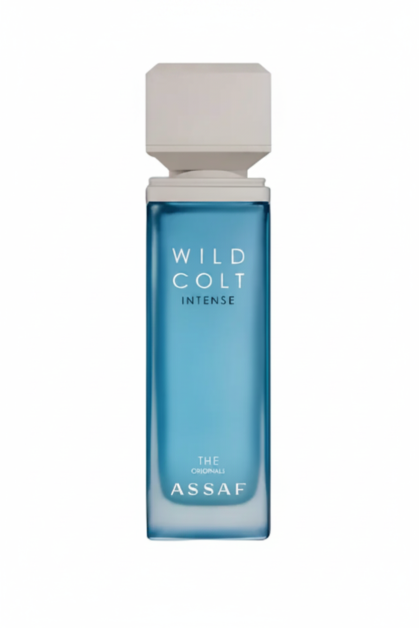 ASSAF WILD COLD INTENSE EDP 100ML