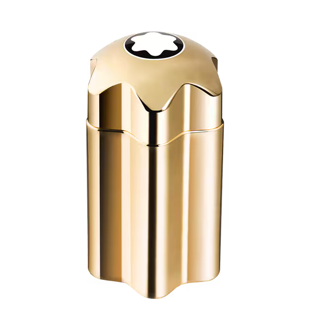 MONTBLANC EMBLEM ABSOLU EDT 100ML