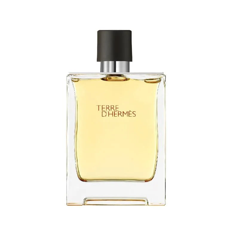 Hermes Terre D'Hermes Eau de Toilette for Men 100ml