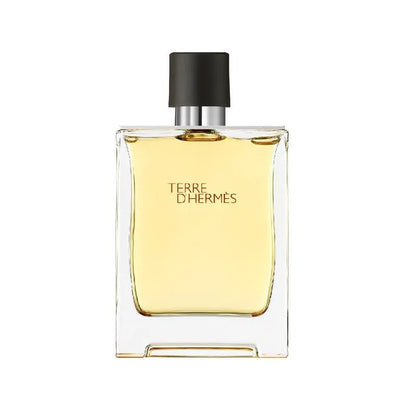 Hermes Terre D'Hermes Eau de Toilette for Men 100ml