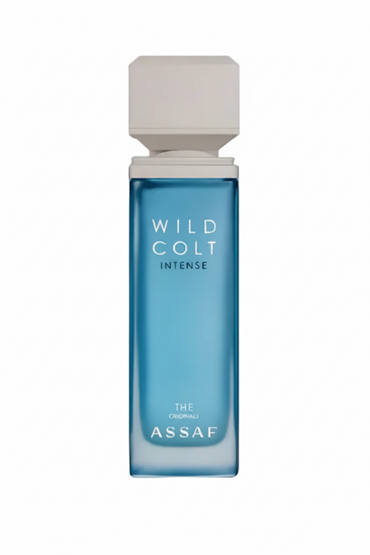 ASSAF WILD COLD INTENSE EDP 100ML